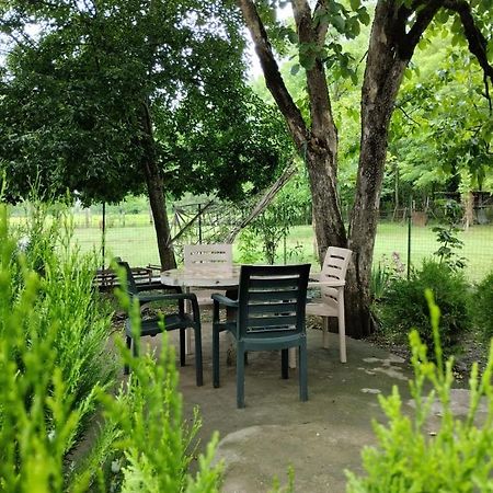 Martvili Guesthouse Bagian luar foto
