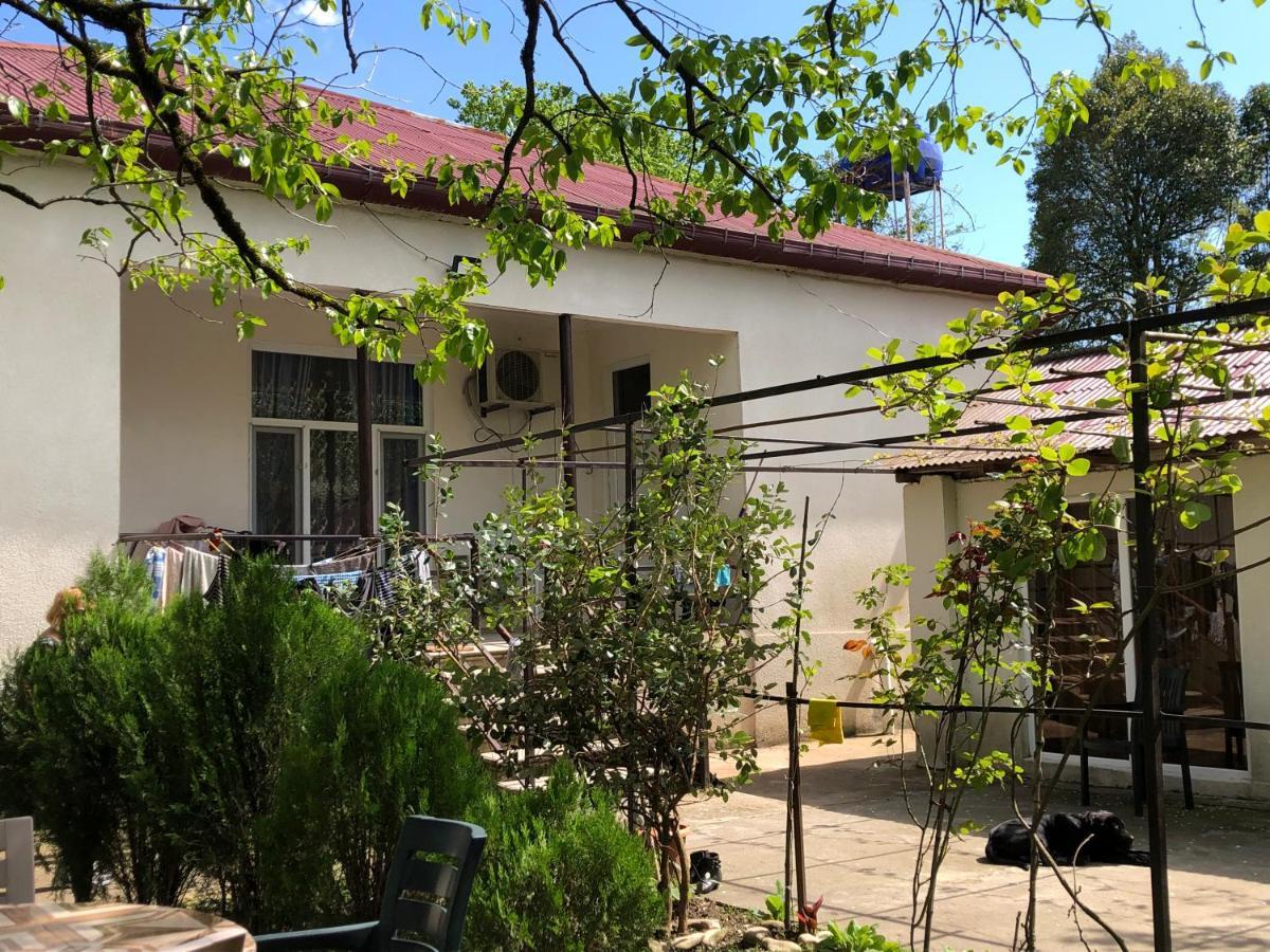 Martvili Guesthouse Bagian luar foto